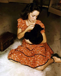 Elizabeth Taylor holding a cat photo print