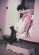 Elizabeth Taylor Playing with Cat Photo Print