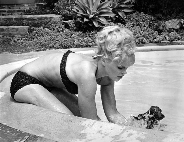 Elke Sommer Playing in Pool with a Puppy Photo Print