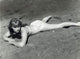 Elke Sommer Laying Face Down in Polka Dot Bikini Photo Print