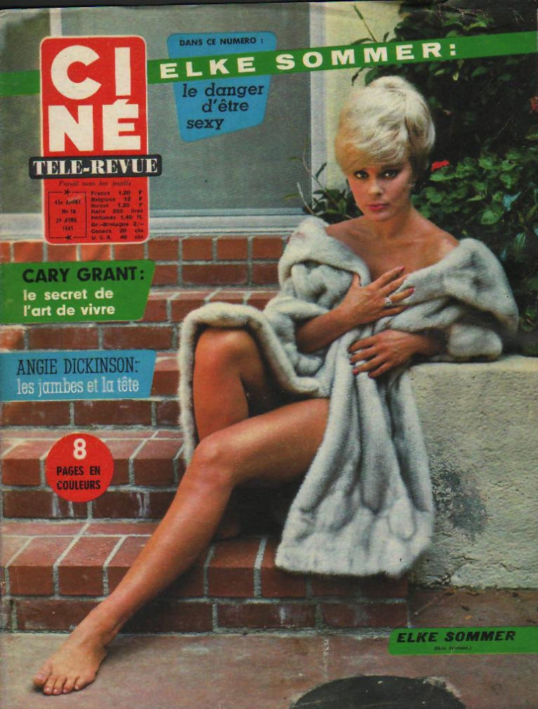 Elke Sommer sitting on brick stairs in fur coat fine art print.
