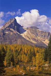 http://c328301.r1.cf1.rackcdn.com/DPI10358.jpg