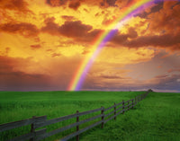 http://c328301.r1.cf1.rackcdn.com/DPI1192LARGE.jpg