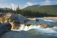 http://c328301.r1.cf1.rackcdn.com/DPI12252457LARGE.jpg
