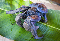 http://c328301.r1.cf1.rackcdn.com/DPI12257701LARGE.jpg