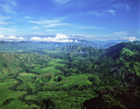 http://c328301.r1.cf1.rackcdn.com/DPI12257728LARGE.jpg
