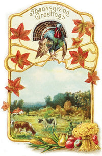 http://c328301.r1.cf1.rackcdn.com/DPI12272354.jpg