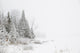 http://c328301.r1.cf1.rackcdn.com/DPI12290995.jpg