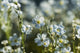 http://c328301.r1.cf1.rackcdn.com/DPI12305934.jpg