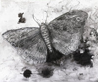 Black and White Butterfly Fine Art Print by Glen Ronald - 17x14