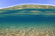 Split View of Blue Sky and Underwater Scene Poster Print by Jenna Szerlag