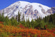 Autumn Colors in Paradise Park Photo Print by Craig Tuttle