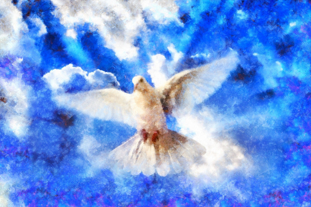 Paint Effect Dove in the Sky Fine Art Print by 770 Productions