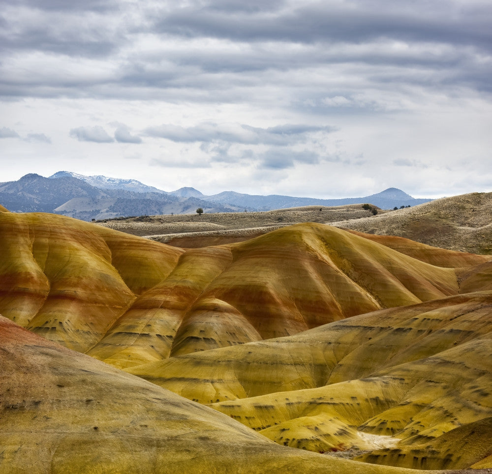 Painted Hills Fine Art Print by The Nature Collection - Oregon