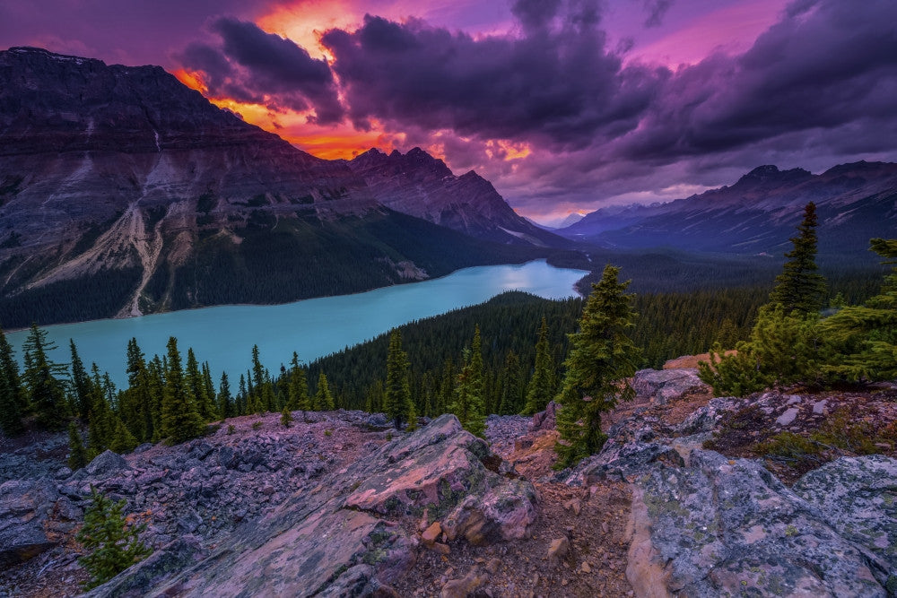 Peyto Lake under Dramatic Skies Fine Art Print by Justin Sinclair