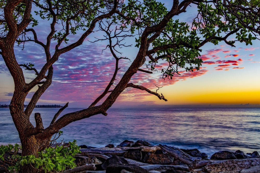 Lydgate Beach Sunrise Fine Art Print by The Nature Collection