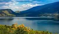 Wildflowers and Lake Kalamalka Fine Art Print by The Nature Collection