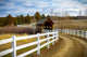 Covered Bridge Over River in Oregon Fine Art Print by The Nature Collection