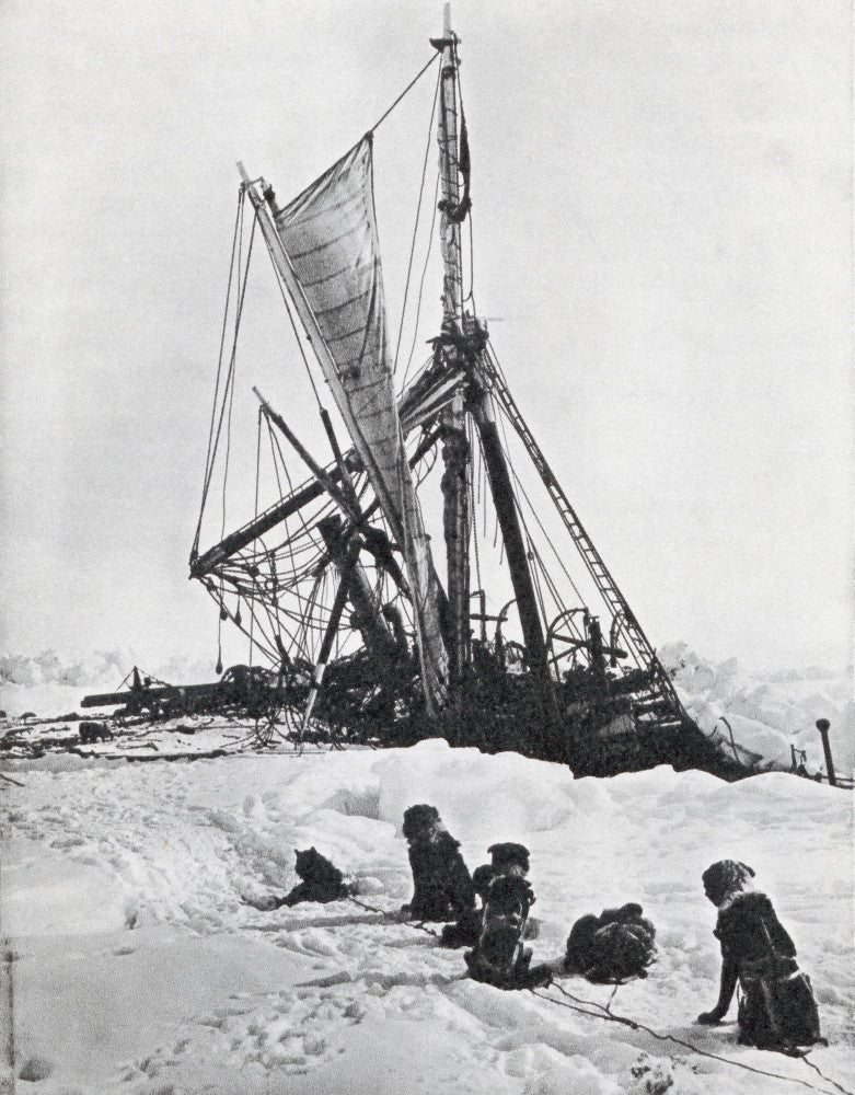 The Endurance Ship Crushed by Ice - Fine Art Print by Hilary Jane Morgan