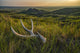 Old Deer Antler at Dusk in Grasslands National Park Fine Art Print by Robert Postma