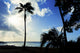 Waimea Bay Beach Sunset Silhouette Fine Art Print by 770 Productions