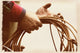 http://c328301.r1.cf1.rackcdn.com/DPI1768523.jpg