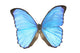 http://c328301.r1.cf1.rackcdn.com/DPI1769027.jpg