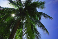 http://c328301.r1.cf1.rackcdn.com/DPI1771260LARGE.jpg