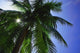 http://c328301.r1.cf1.rackcdn.com/DPI1771260.jpg