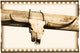http://c328301.r1.cf1.rackcdn.com/DPI1778396.jpg