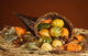 http://c328301.r1.cf1.rackcdn.com/DPI1778870.jpg