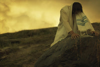 Jesus Prays Fine Art Print by Don Hammond | Design Pics