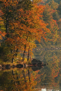 http://c328301.r1.cf1.rackcdn.com/DPI1782360LARGE.jpg