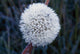 http://c328301.r1.cf1.rackcdn.com/DPI1783813.jpg