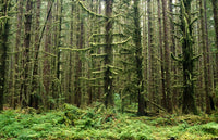http://c328301.r1.cf1.rackcdn.com/DPI1792534LARGE.jpg