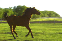 http://c328301.r1.cf1.rackcdn.com/DPI1793113.jpg