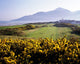 High Angle View of Royal County Down Golf Club Poster Print by The Irish Image Collection