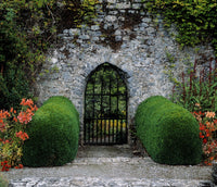 http://c328301.r1.cf1.rackcdn.com/DPI1798201LARGE.jpg