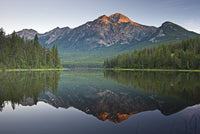 http://c328301.r1.cf1.rackcdn.com/DPI1824907LARGE.jpg