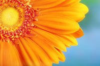 http://c328301.r1.cf1.rackcdn.com/DPI1826424LARGE.jpg