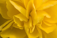 http://c328301.r1.cf1.rackcdn.com/DPI1832552.jpg