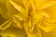 http://c328301.r1.cf1.rackcdn.com/DPI1832552.jpg