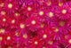 http://c328301.r1.cf1.rackcdn.com/DPI1834420.jpg