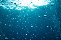 http://c328301.r1.cf1.rackcdn.com/DPI1834640LARGE.jpg