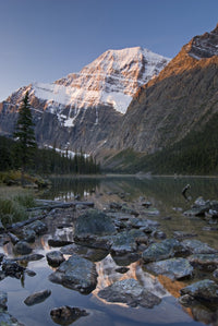 http://c328301.r1.cf1.rackcdn.com/DPI1837138LARGE.jpg