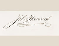 http://c328301.r1.cf1.rackcdn.com/DPI1839638LARGE.jpg