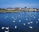 http://c328301.r1.cf1.rackcdn.com/DPI1840108.jpg