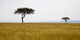 http://c328301.r1.cf1.rackcdn.com/DPI1848040.jpg