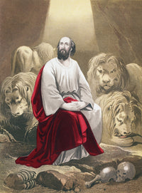 http://c328301.r1.cf1.rackcdn.com/DPI1872744.jpg