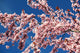 http://c328301.r1.cf1.rackcdn.com/DPI1873800.jpg